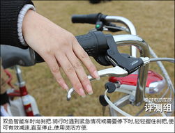 智能助力 自在騎行 永久雙魚全新智能電動(dòng)自行車深度測(cè)評(píng)